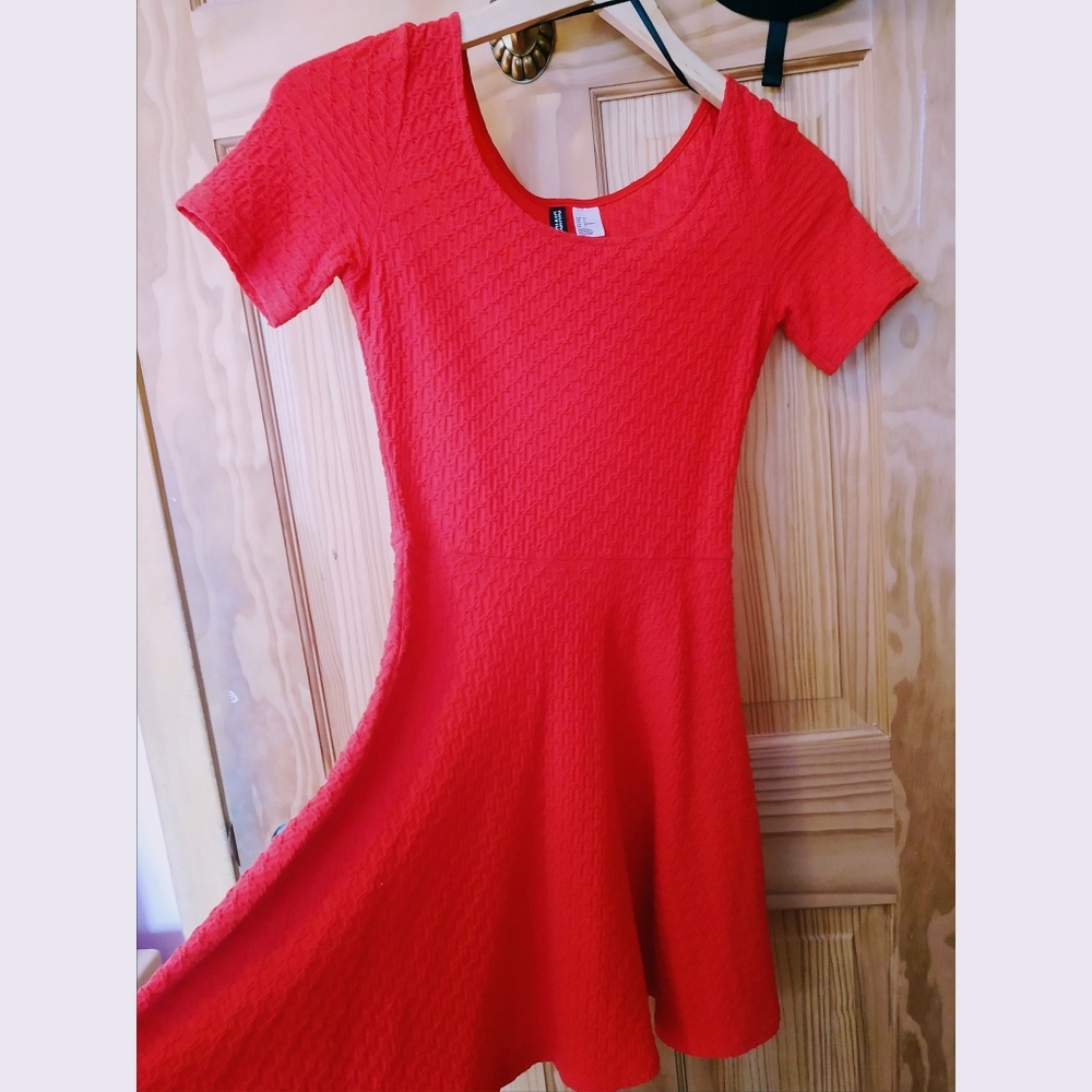 H&M Red Skater Dress